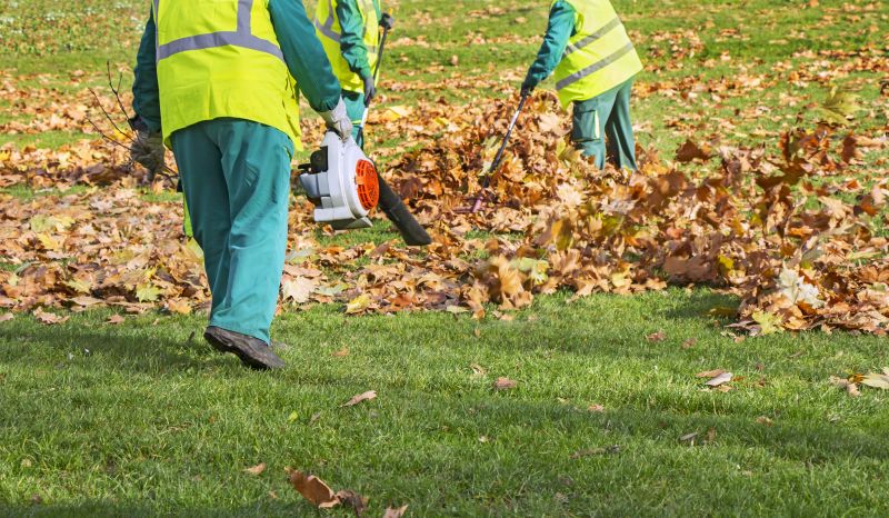Leaf Removal Equipment in Action