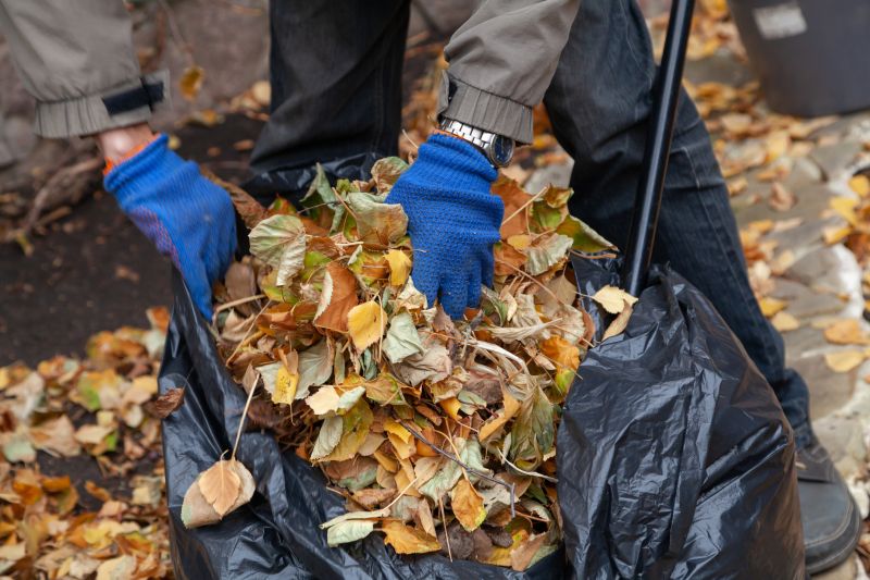 Fall Landscape Cleanup
