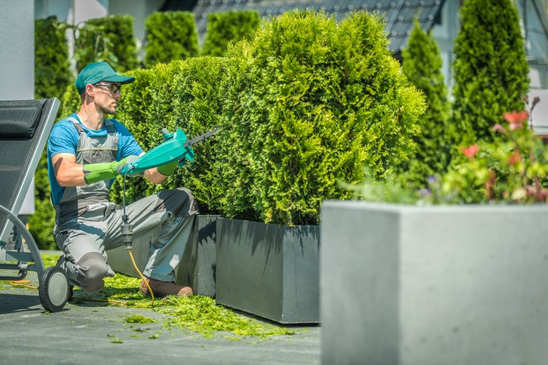 Seasonal Shrub Care